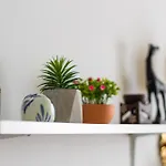 A Perfect Place Vol 2 شقة سراييفو